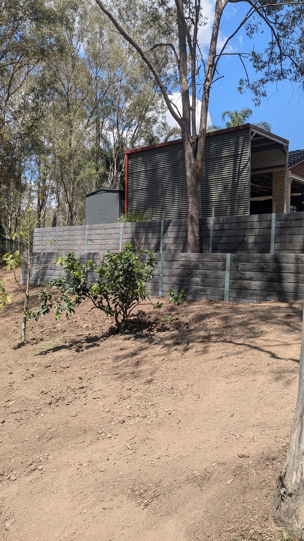 PXL_20241015_024902535