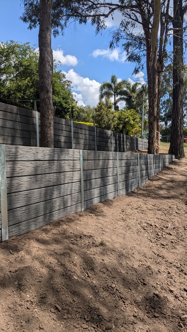 PXL_20241015_024930541