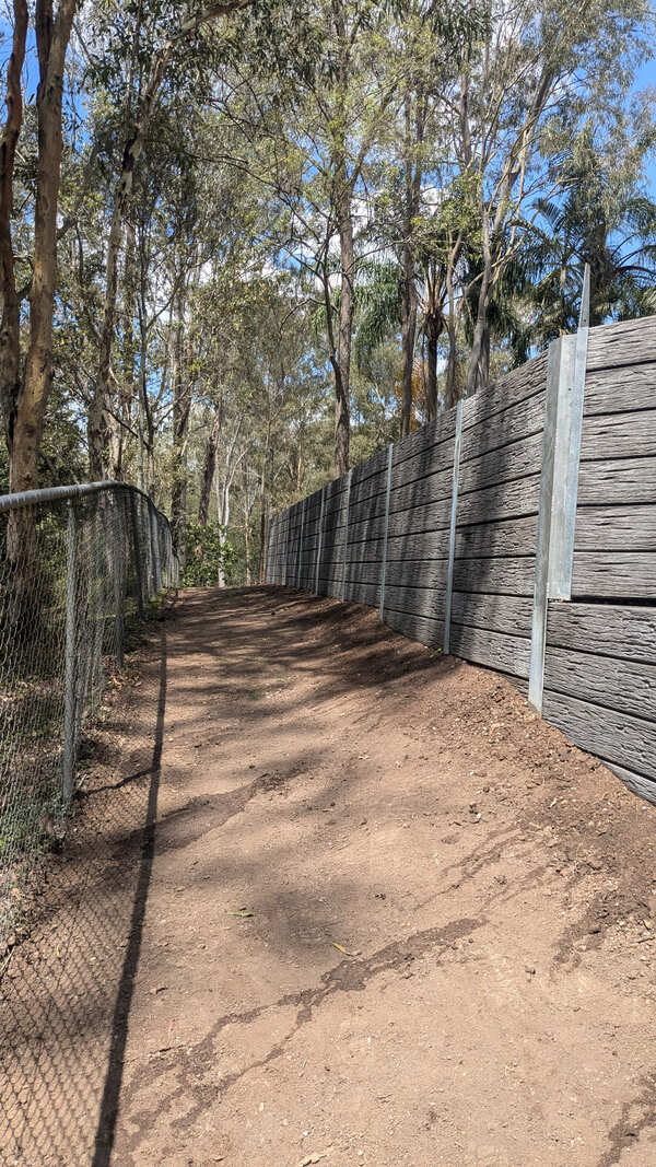 PXL_20241015_024935447