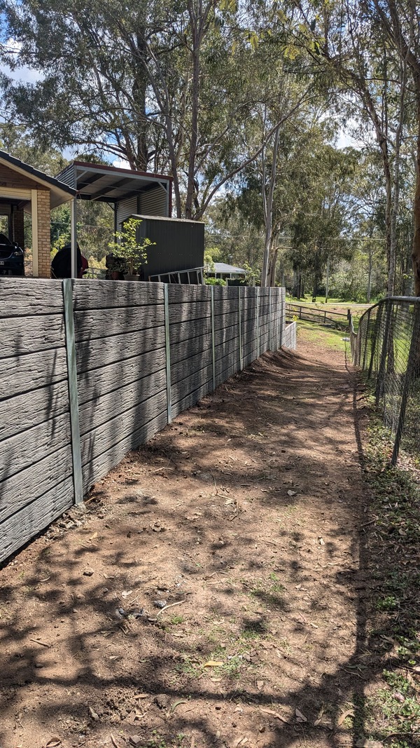 PXL_20241015_024959290