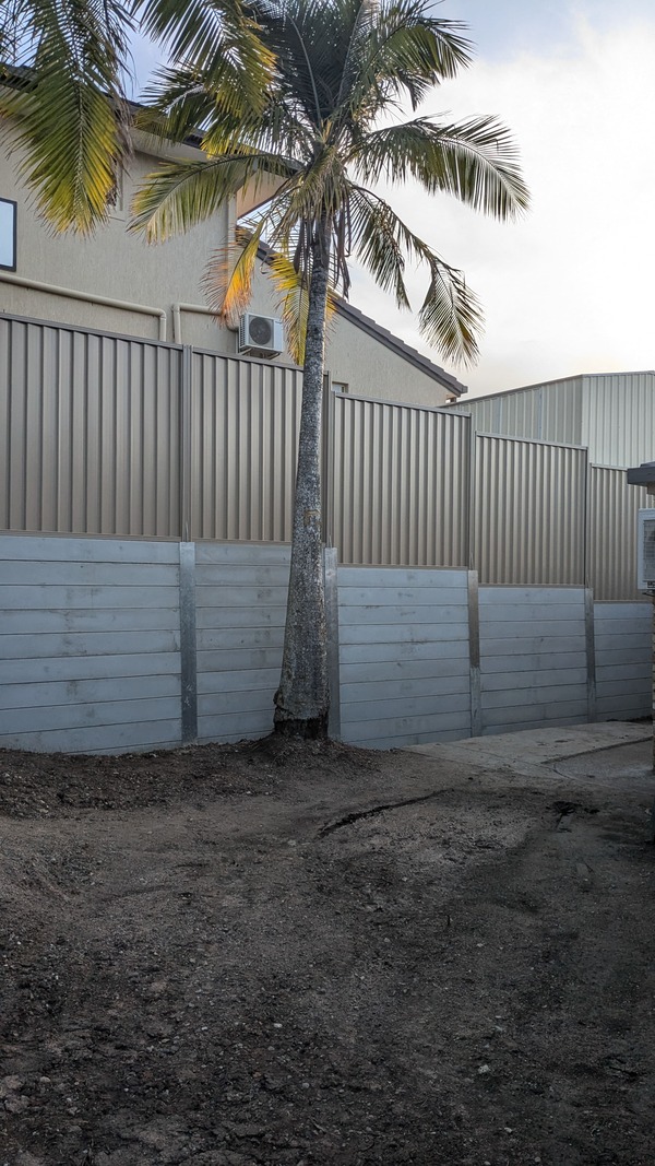 PXL_20241106_071720785