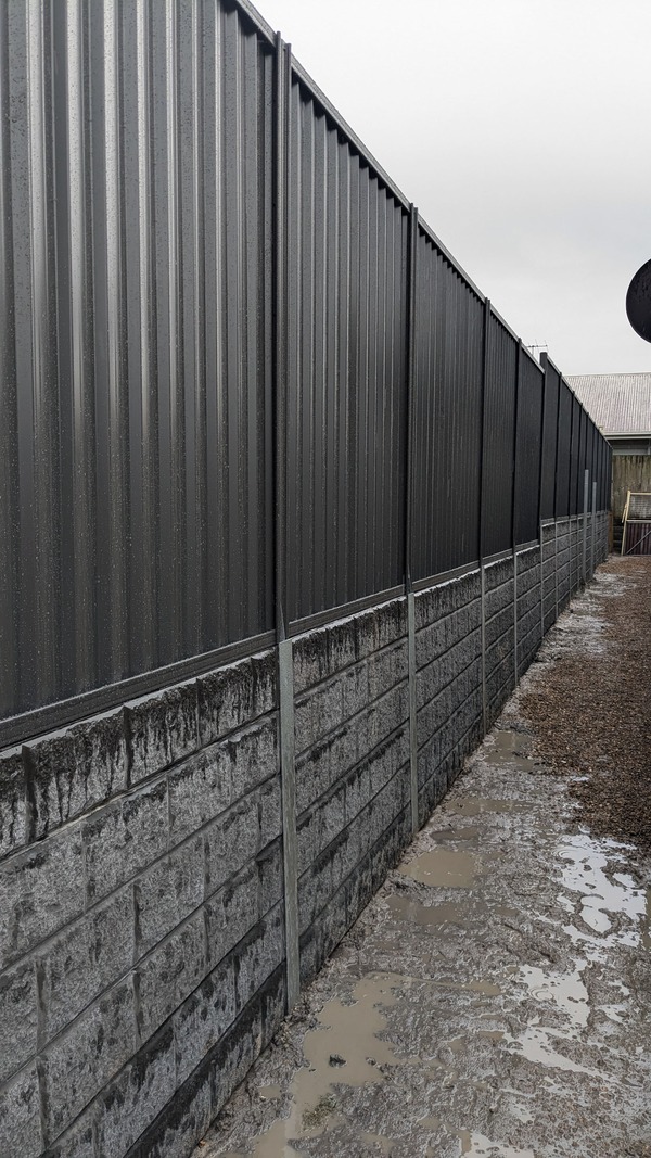 PXL_20241119_055311650