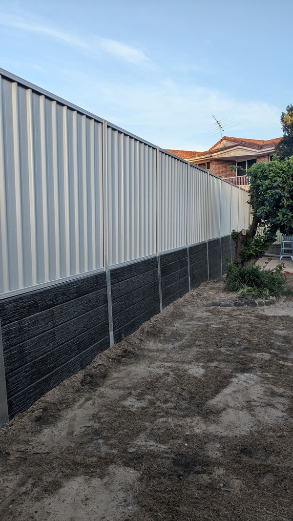 PXL_20250120_081715799