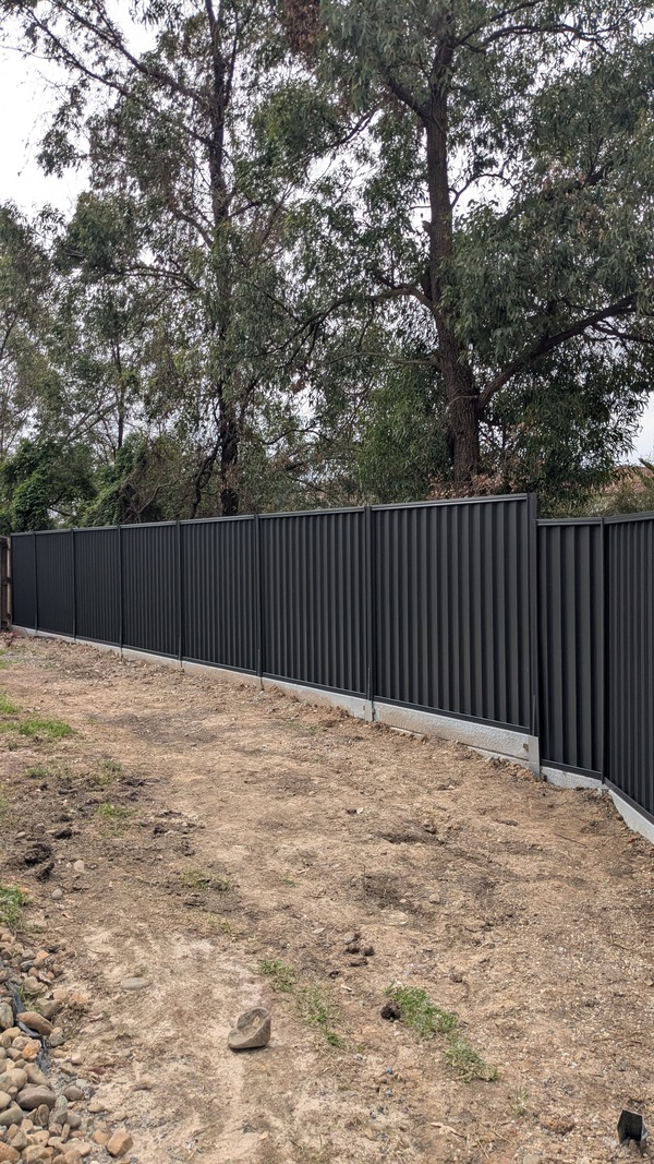 PXL_20250401_022620884