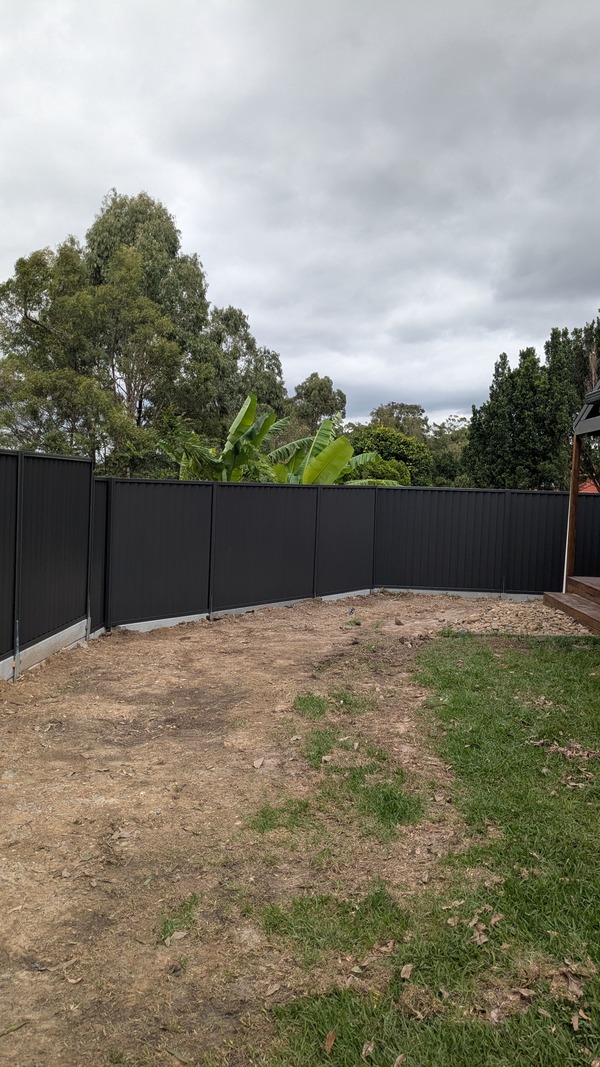 PXL_20250401_022634023