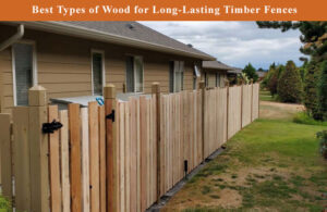 Best Types of Wood for Long-Lasting Timber Fences