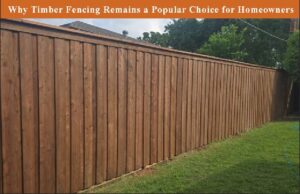 Why Timber Fencing Remains a Popular Choice for Homeowners