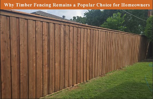 Why Timber Fencing Remains a Popular Choice for Homeowners